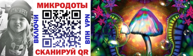 Галлюциногенные грибы мухоморы  Купить закладки  Сковородино 
